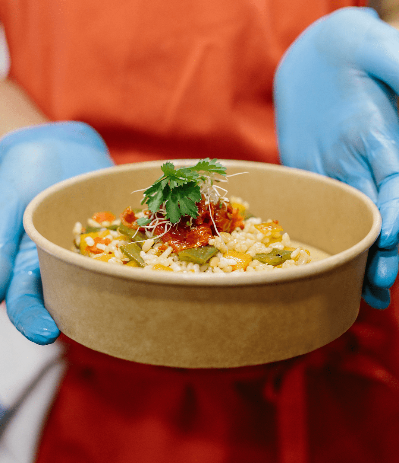 Person holding bowl of vegetable rice dish.